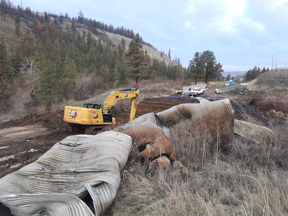 George Grade Creek Barrier Removal