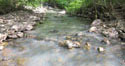 Cottonwood Creek Watershed Habitat Restoration