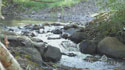 Lapwai Creek Steelhead Habitat Restoration