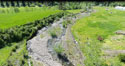 Rock Creek Floodplain Restoration