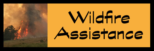 Wildfire Assistance=